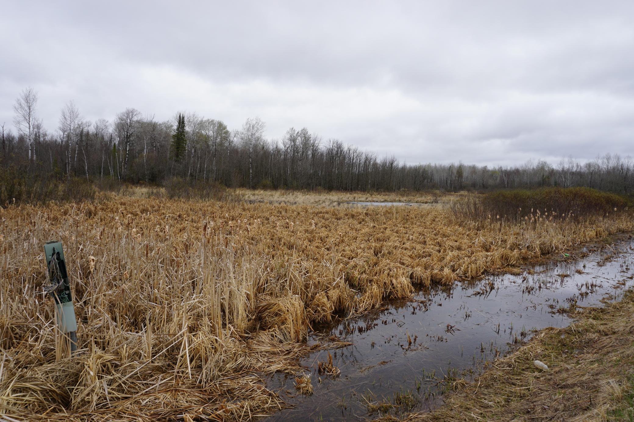 TBD Floodwood Rd, Floodwood, MN 55736