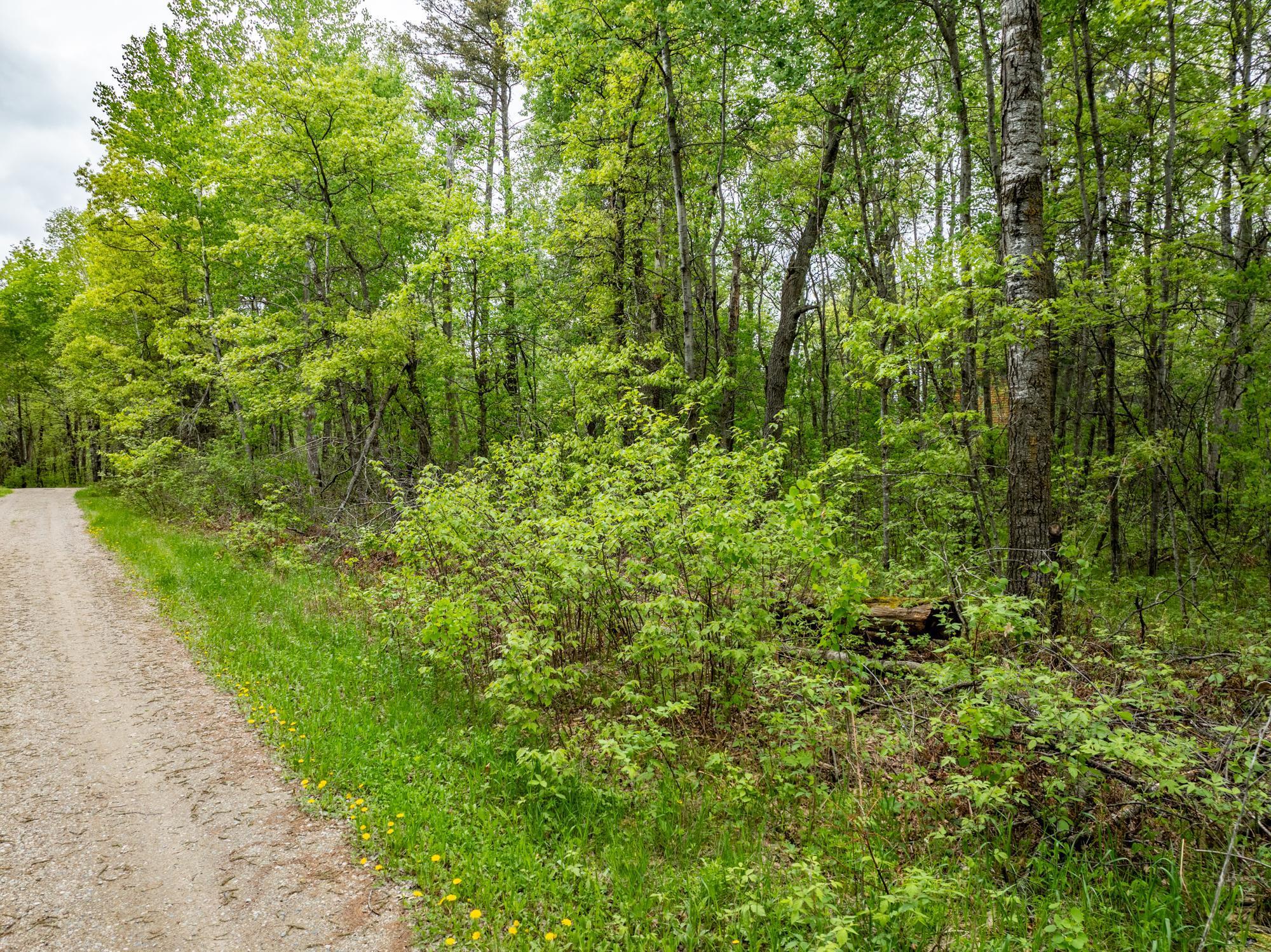 TBD Dodder Ln SW, Pequot Lakes, MN 56472