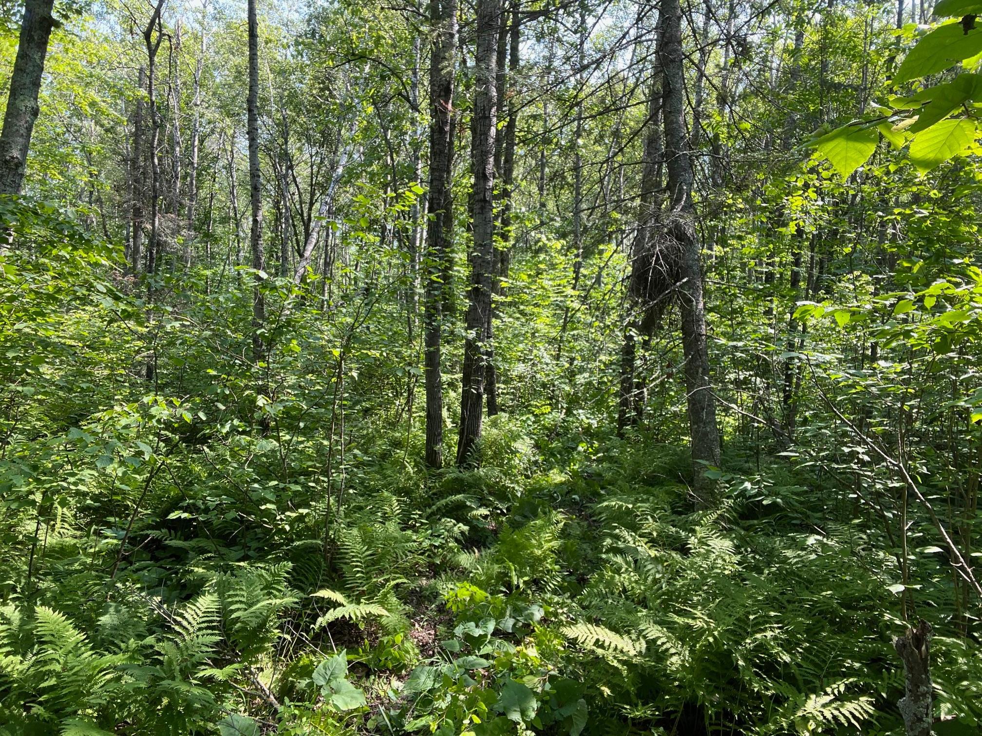 5362 County Road 4, Cromwell, MN 55726