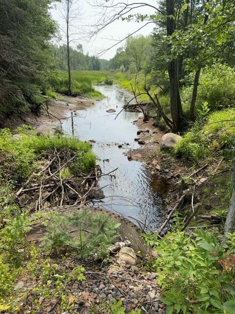 2172 Stuart Rd, Hibbing, MN 55746