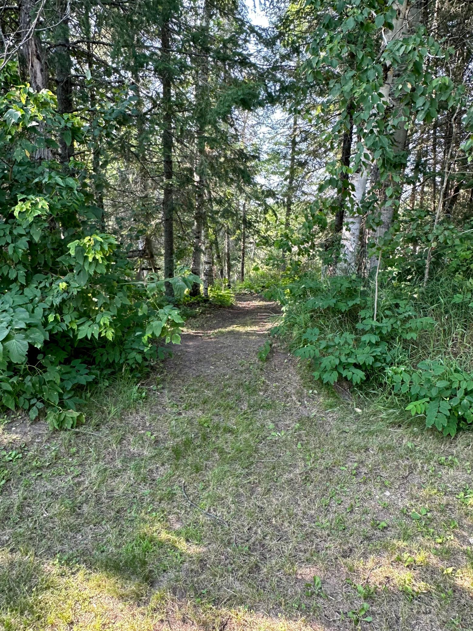4771 Town Road 51, Littlefork, MN 56653