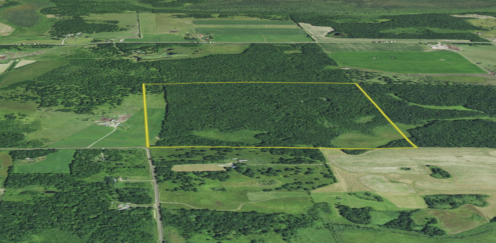 XX 305th Ave, Pierz, MN 56364