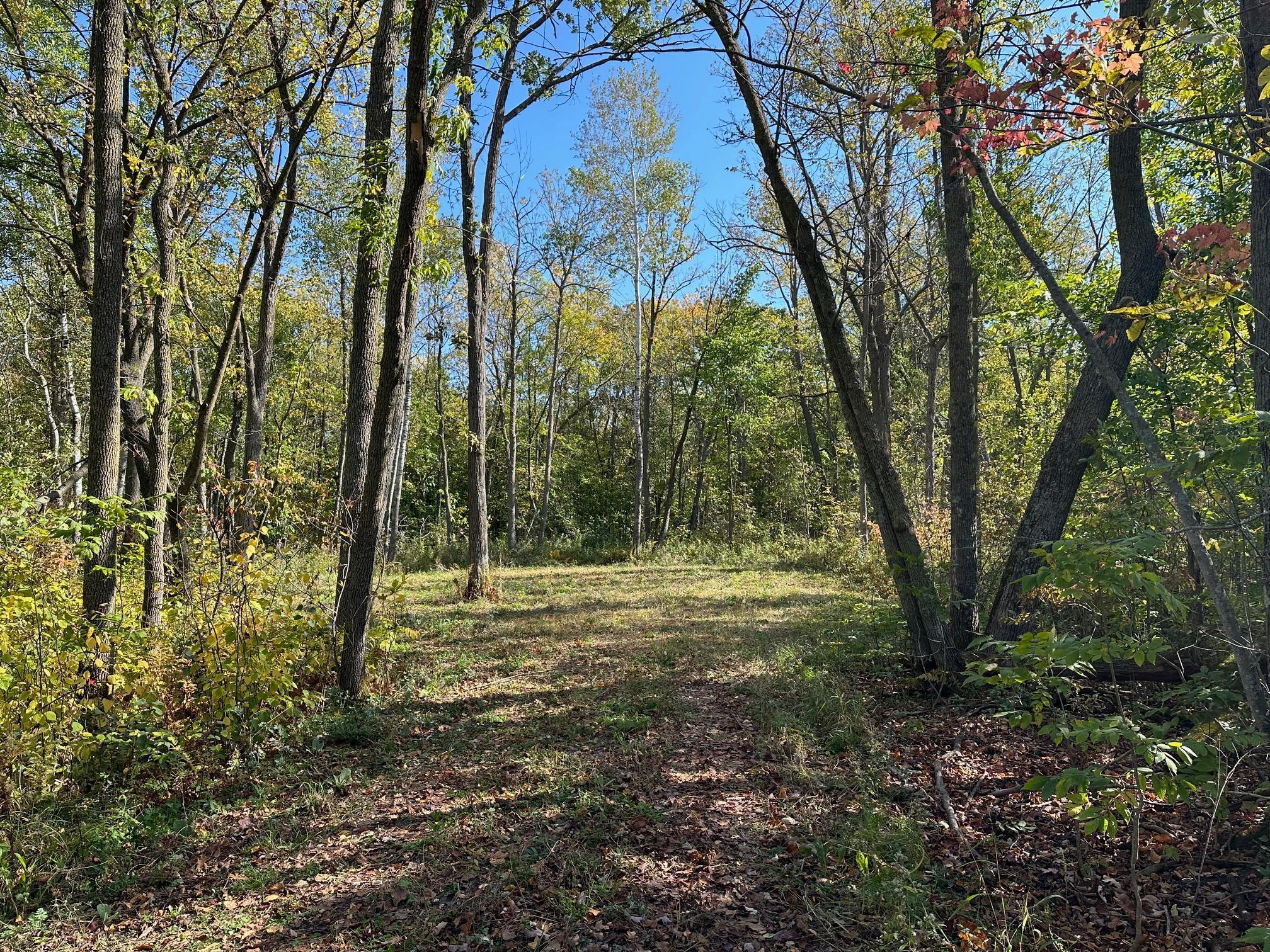 XX 305th Ave, Pierz, MN 56364