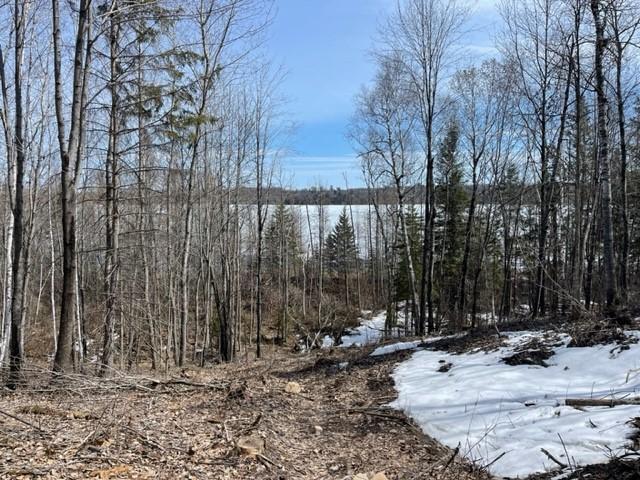 TBD Lot 4 New Manz Dr, Lake George, MN 56458