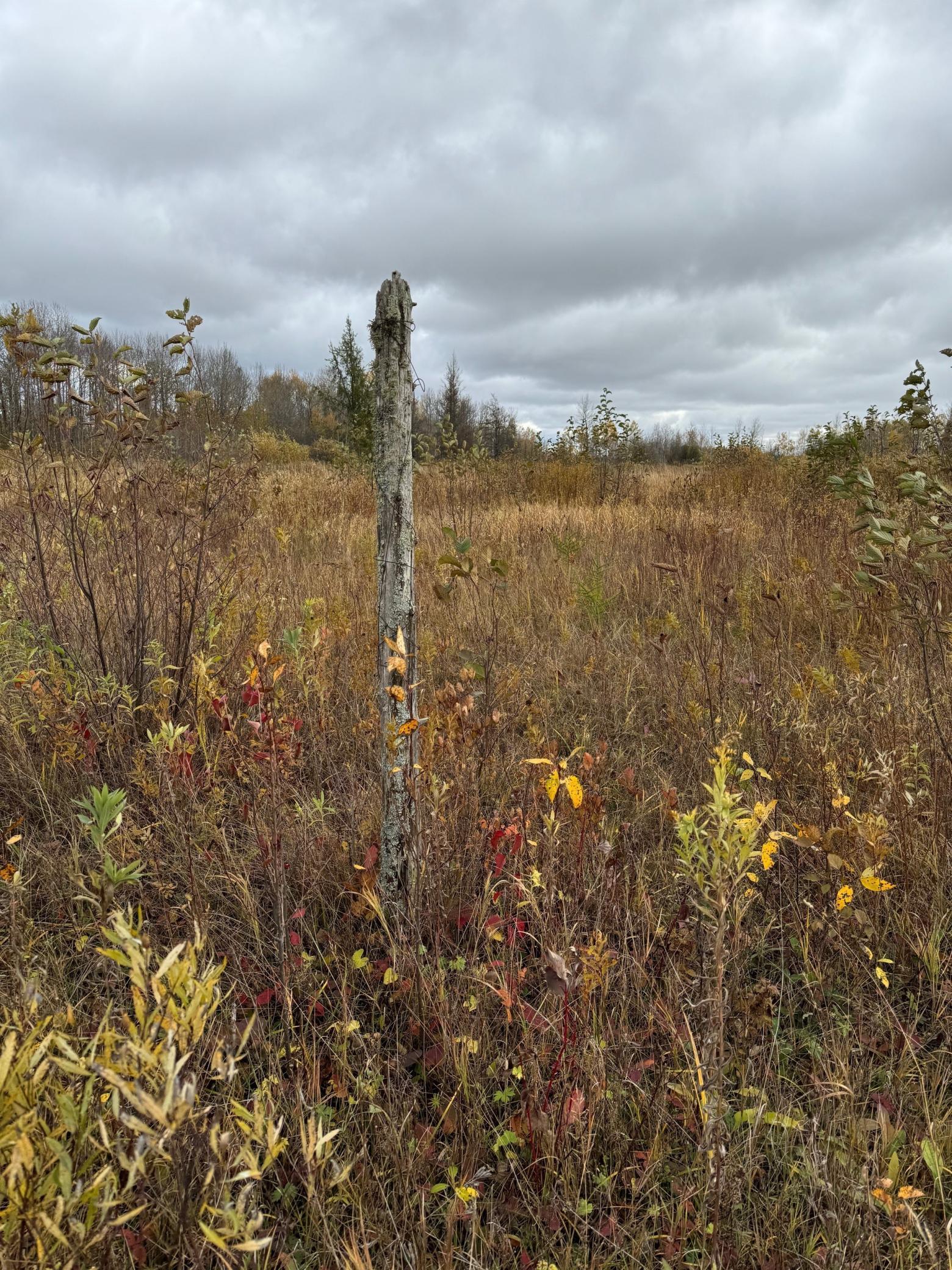 XX Sax Rd, Zim, MN 55738