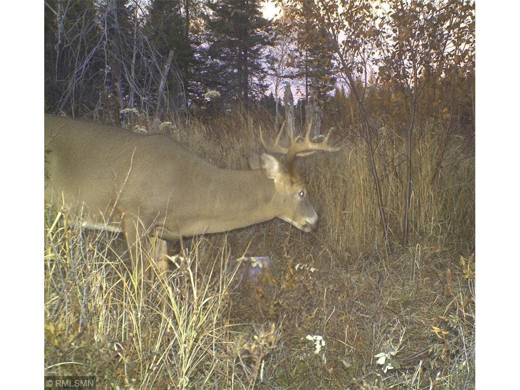 XX Sax Rd, Zim, MN 55738