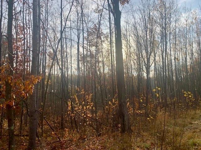 TBD New Paradise Point Drive Lot 7, Lake George, MN 56458