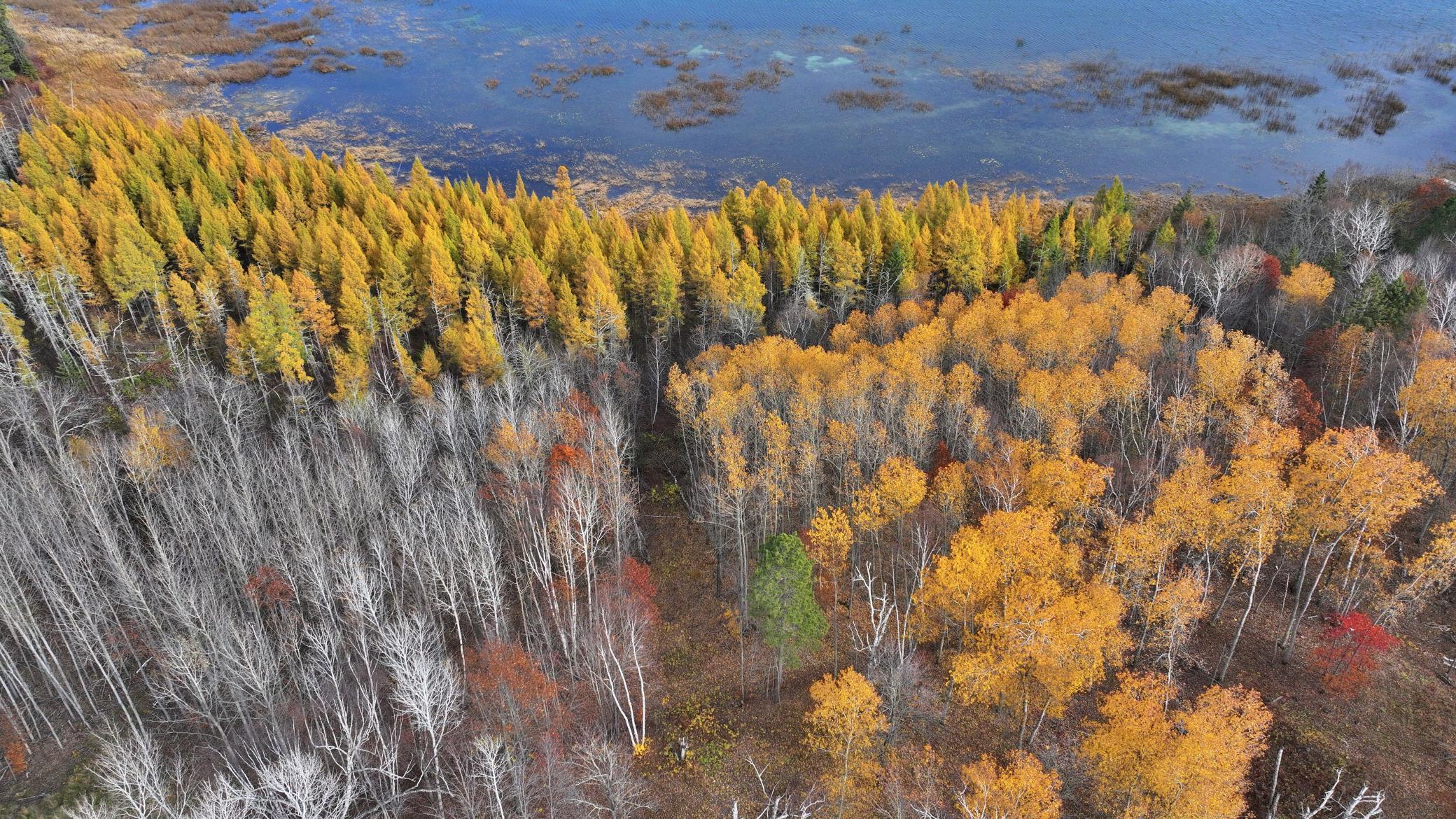TBD New Paradise Point Drive Lot 8, Lake George, MN 56458