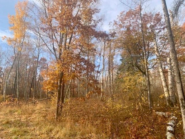 TBD County 4 Lot 9, Lake George, MN 56458