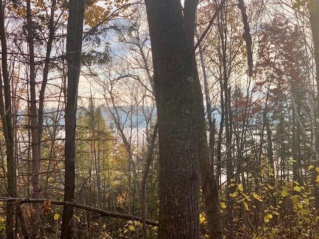 TBD County 4 Lot 10, Lake George, MN 56458