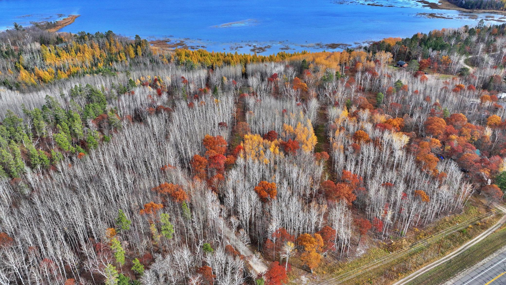 TBD County 4 Lot 10, Lake George, MN 56458