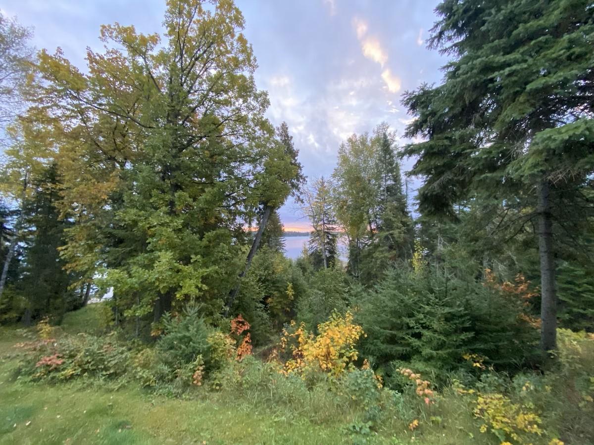 31698 Large Pine Trl, Laporte, MN 56461