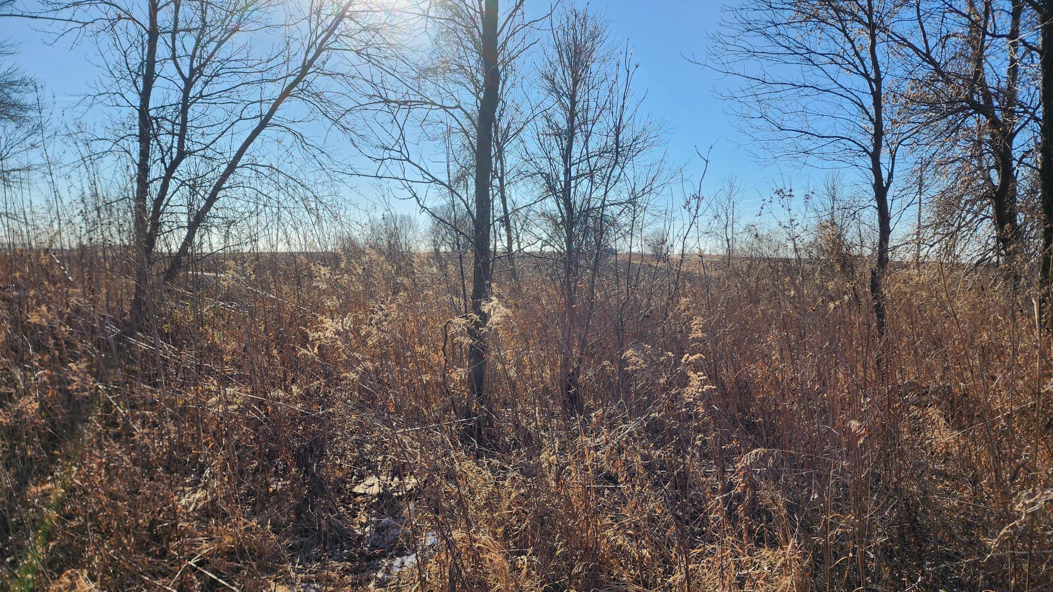 TBD 740th Ave, Le Roy, MN 55951