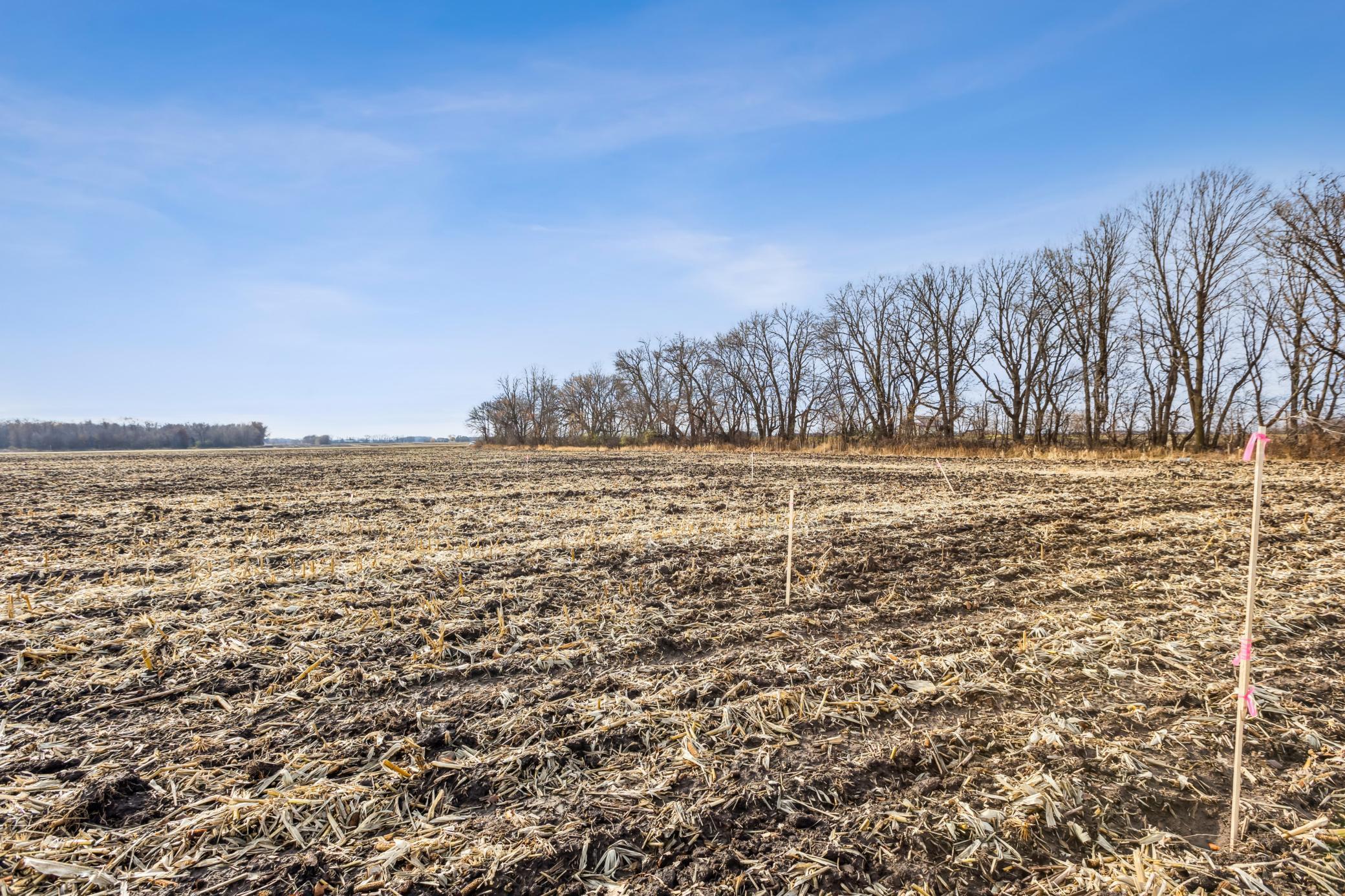 xxx 105th St SW, Montrose, MN 55363