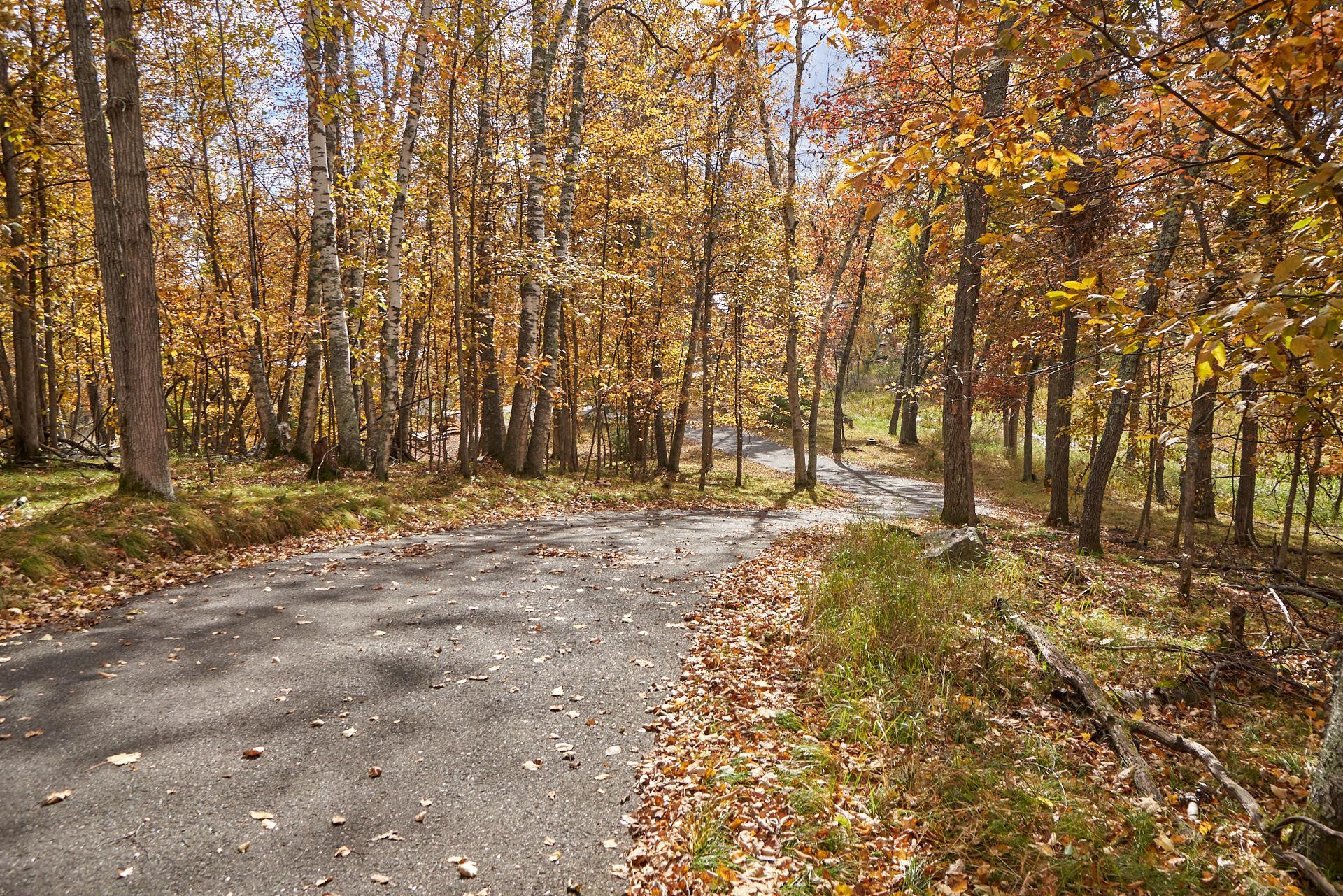 35402 Wildwood Trl, Crosslake, MN 56442