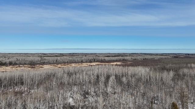 TBD County Road 61, Carlton, MN 55718