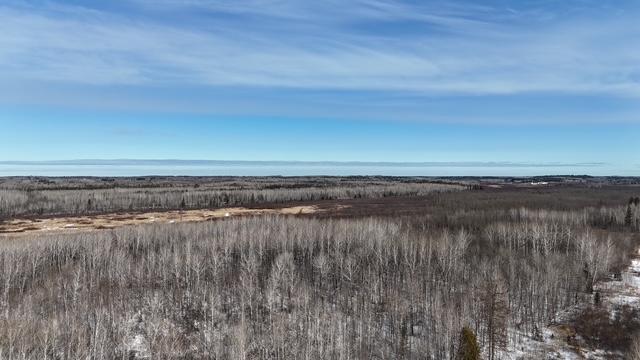 TBD County Road 61, Carlton, MN 55718