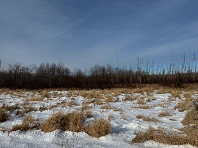 TBD County Road 61, Carlton, MN 55718