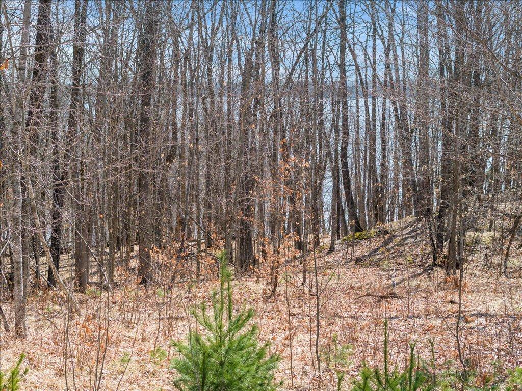 22311 Shadow Point, Emily, MN 56447