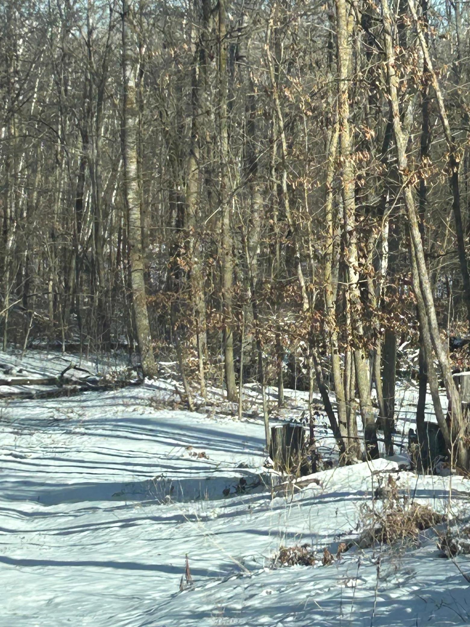 xxx Birchcurve Rd, Randall, MN 56475