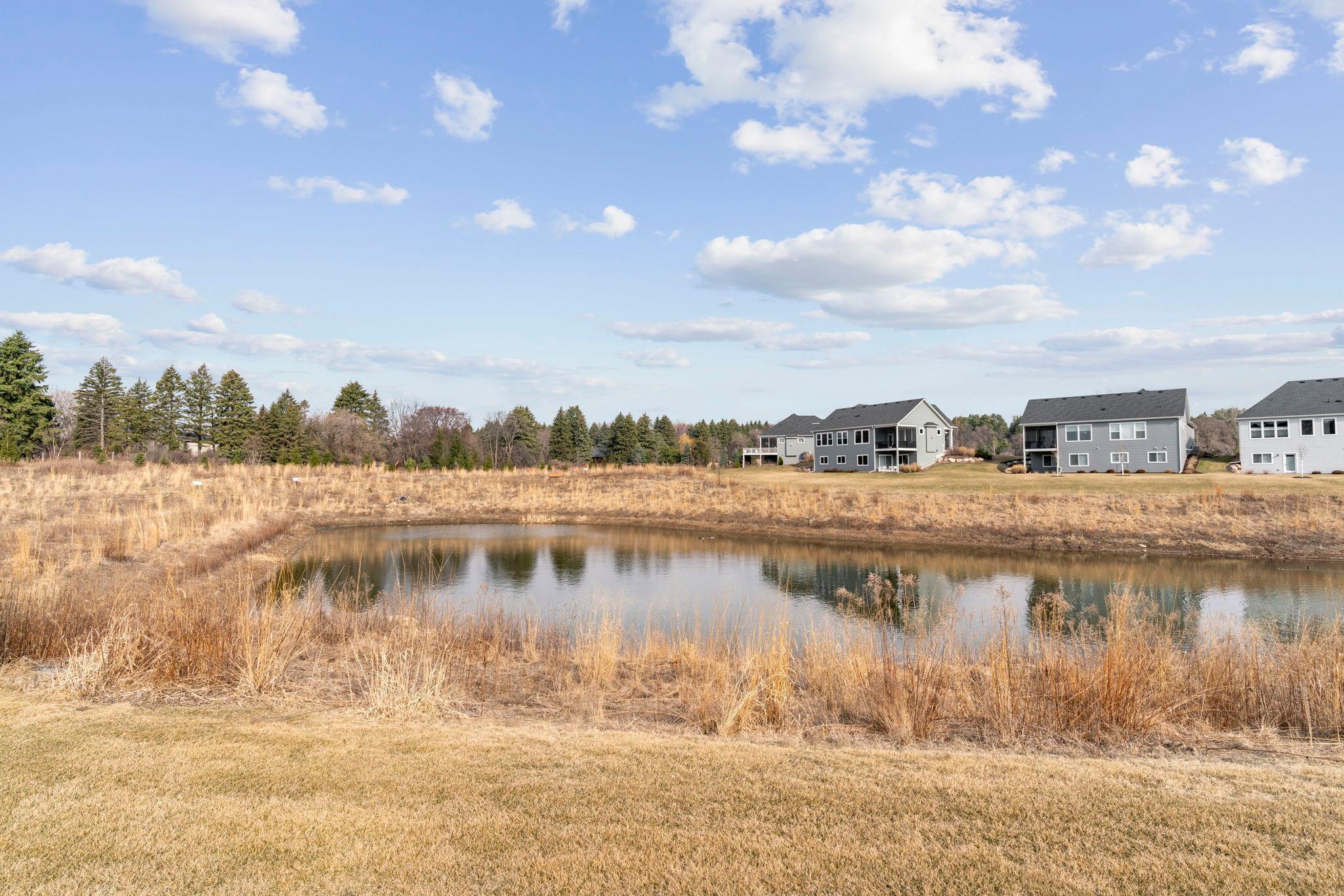 31 Summit Farm Ln, Gem Lake, MN 55110