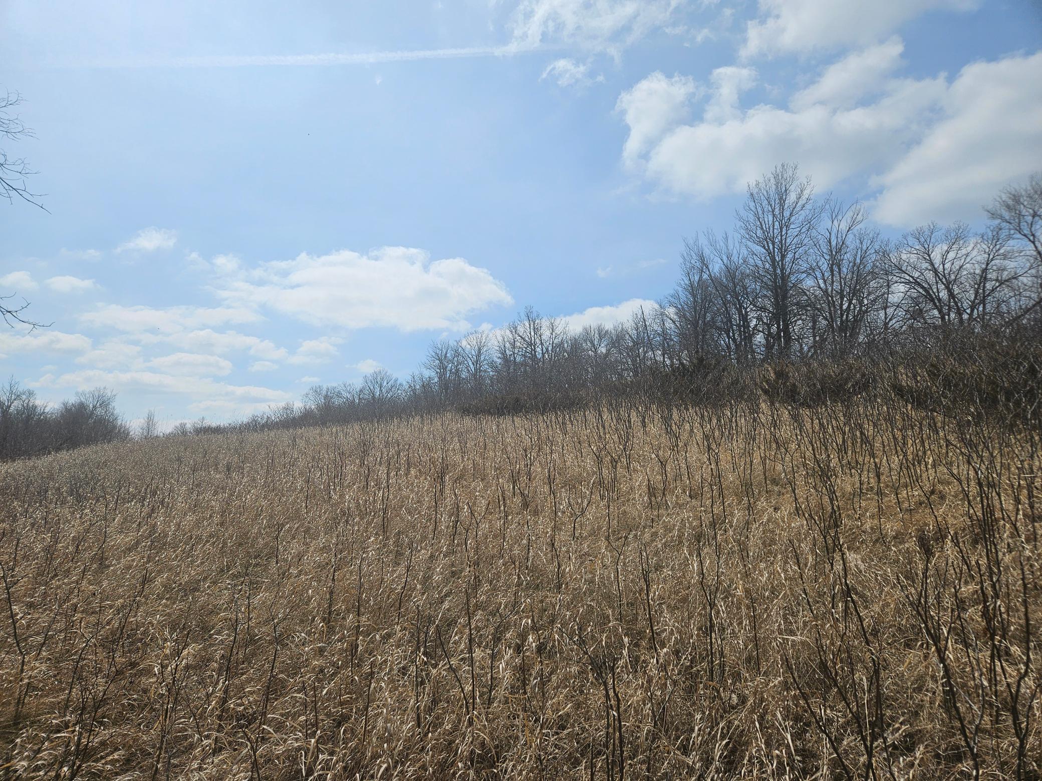 xxx Sybil Lake Rd, Vergas, MN 56587