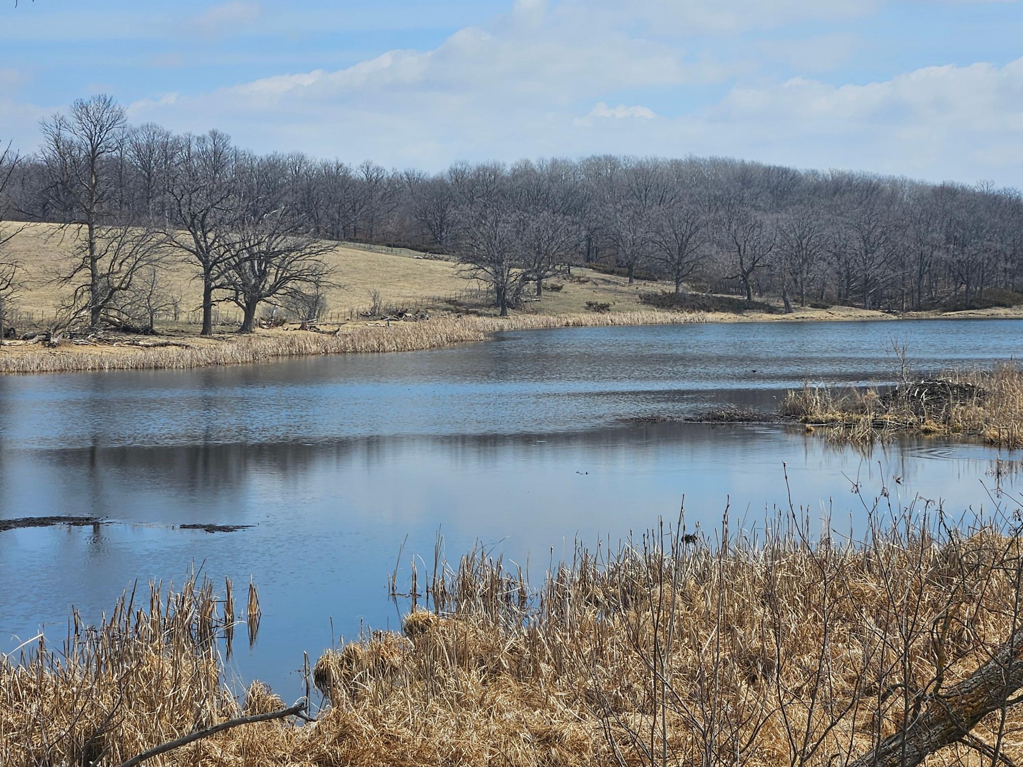 xxx Sybil Lake Rd, Vergas, MN 56587