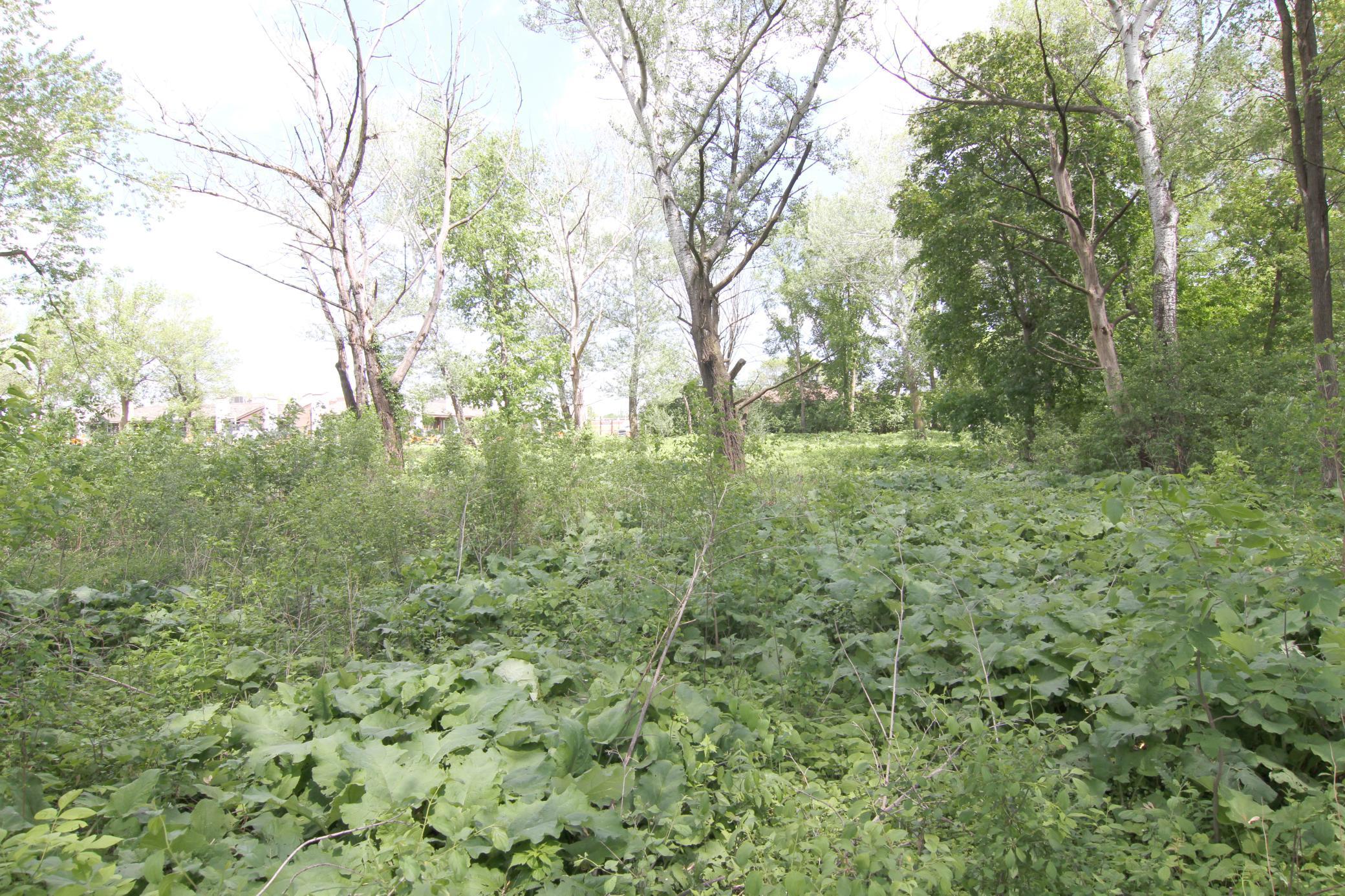 17xx Cope Ave E, Maplewood, MN 55109