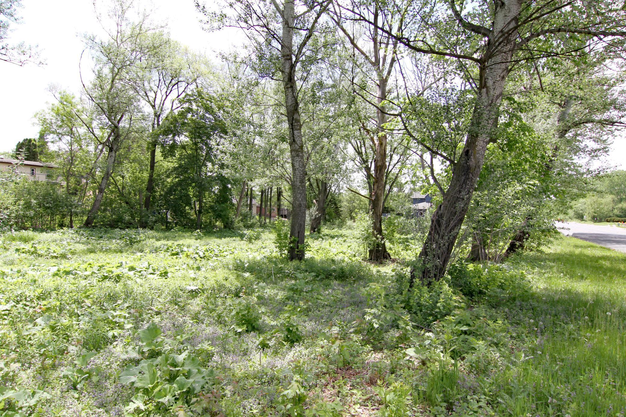 17xx Cope Ave E, Maplewood, MN 55109