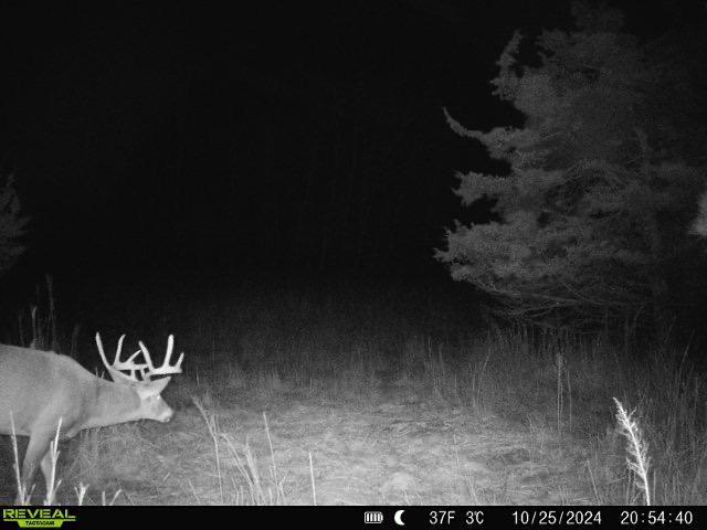 TBD Palisade St NE, East Bethel, MN 55011