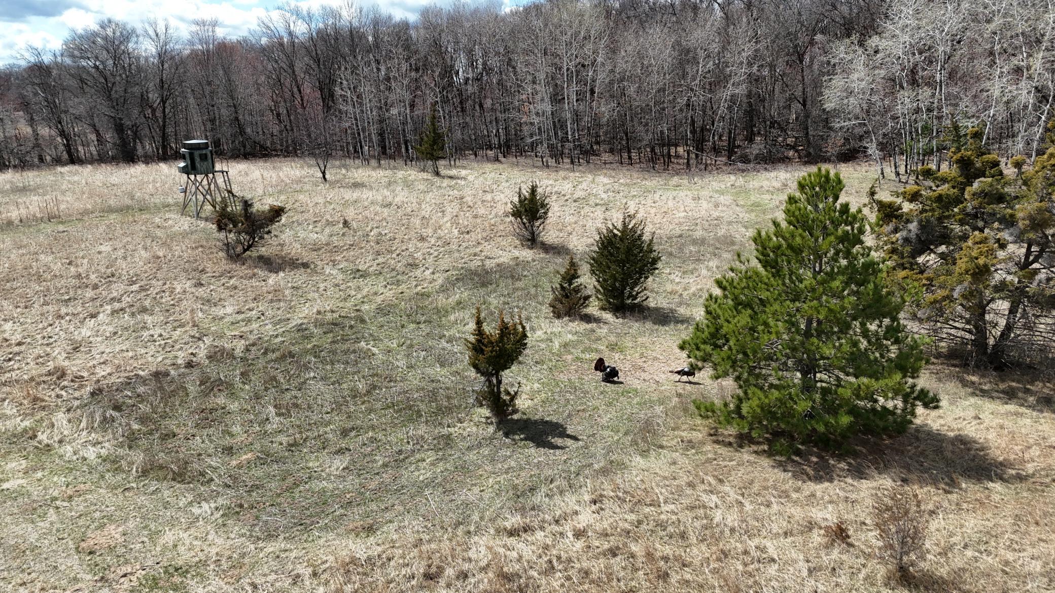 TBD Palisade St NE, East Bethel, MN 55011