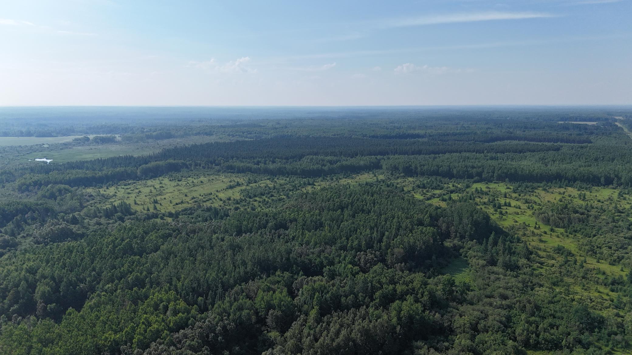 TBD County Road 14, Littlefork, MN 56653