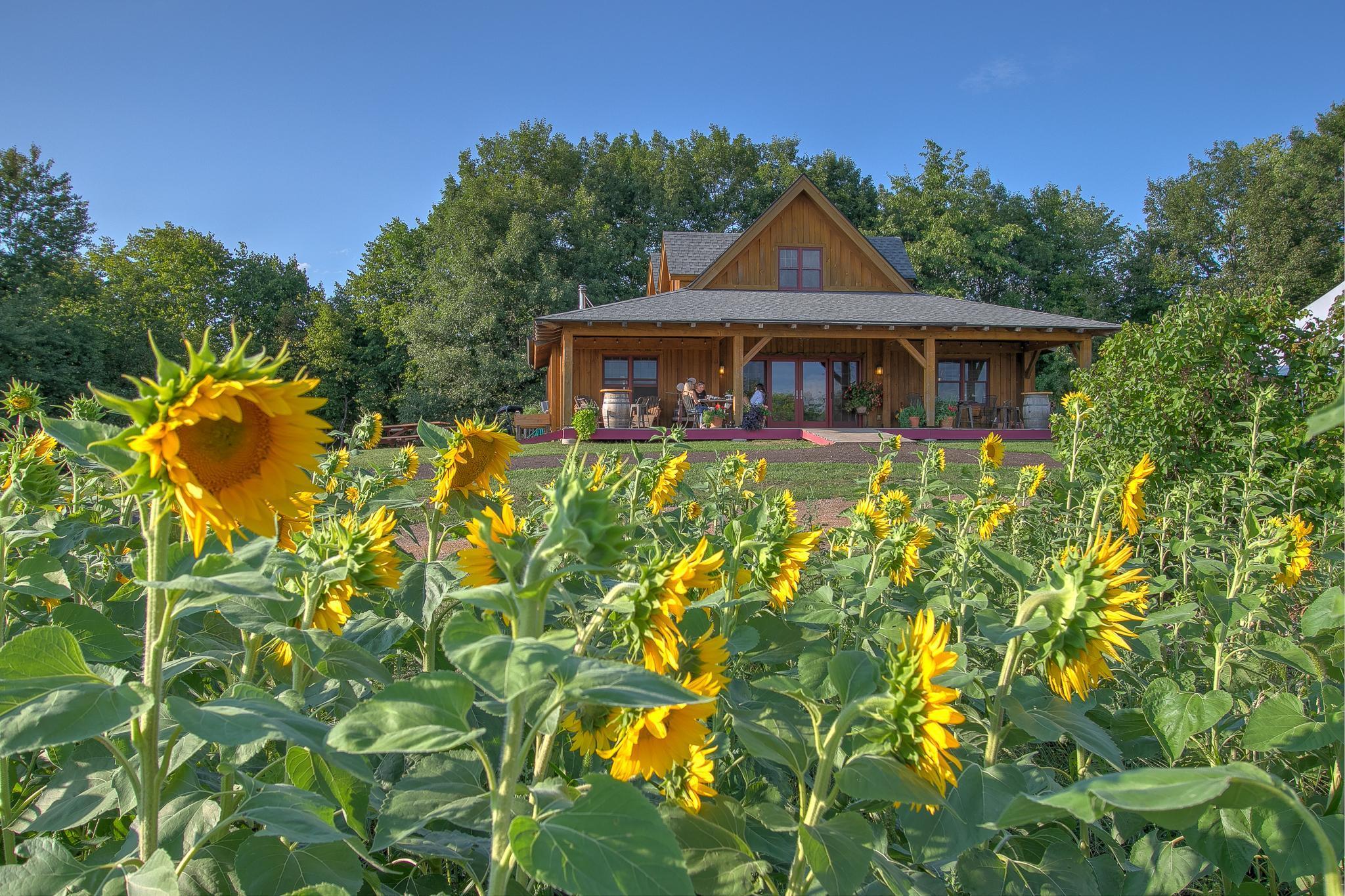 43020 Blackhawk Rd, Harris, MN 55032
