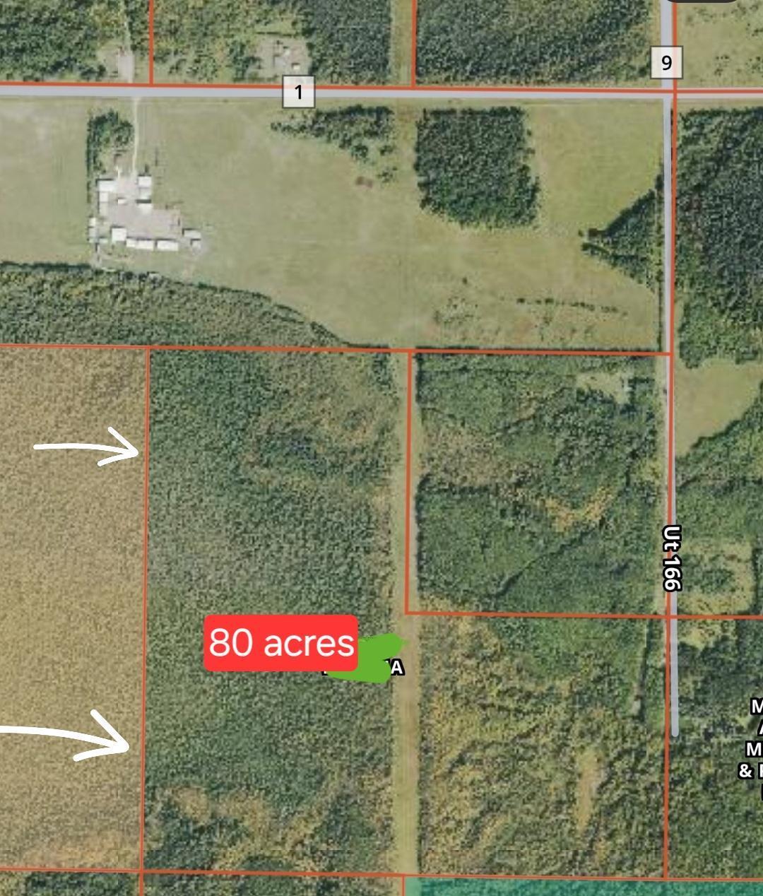 TBD Town Road 166, Littlefork, MN 56653