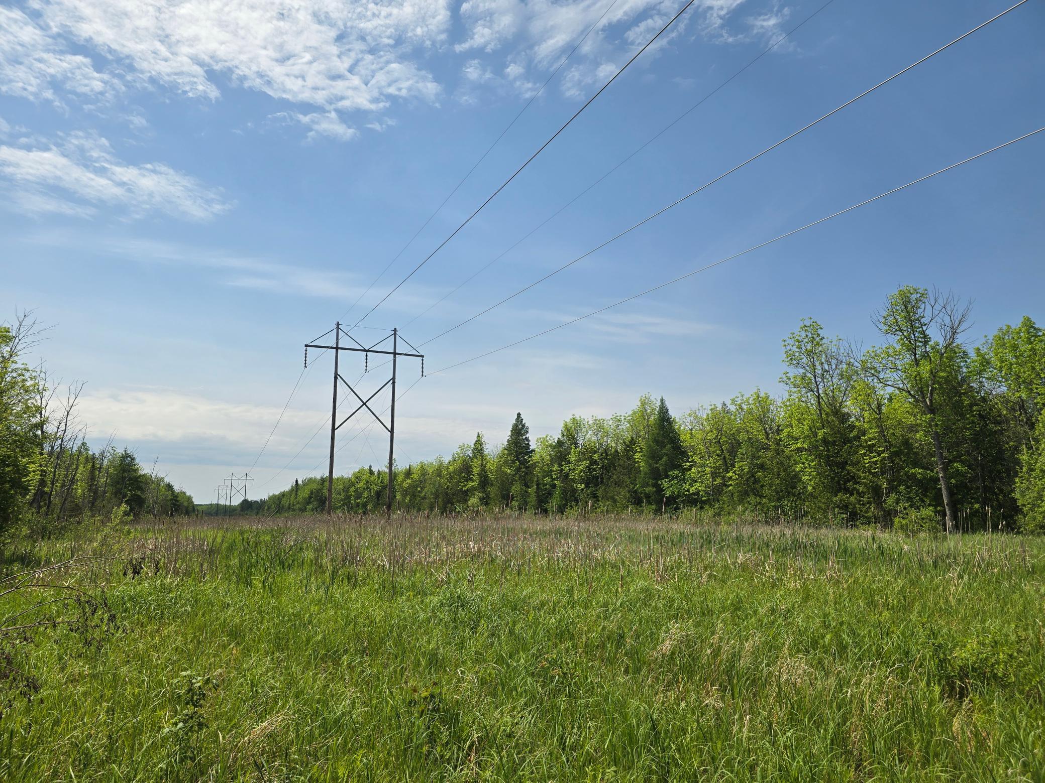 TBD Town Road 166, Littlefork, MN 56653