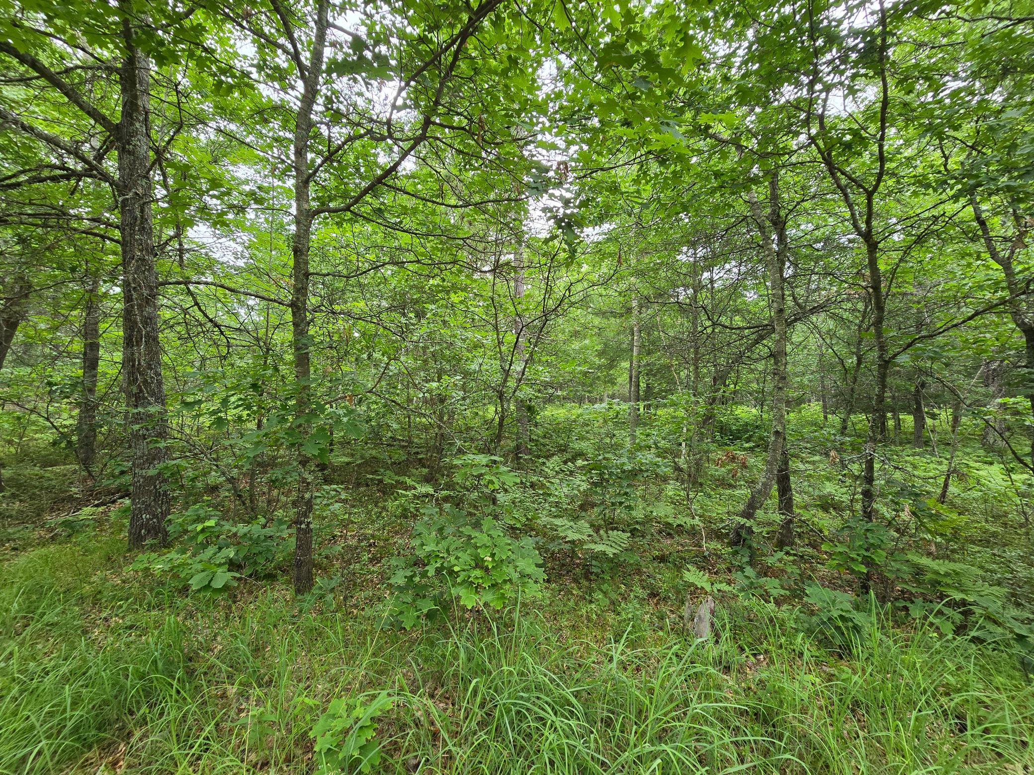 XXX Saylors Ln, Siren, WI 54872