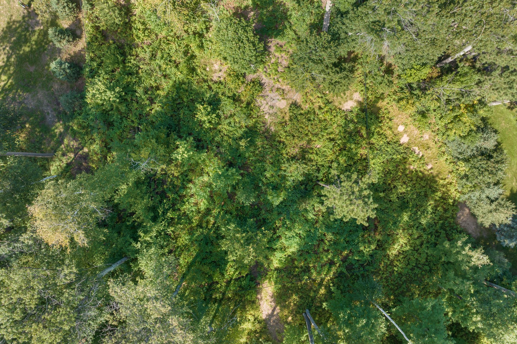 Lot 2 Norway Pine Rd, East Gull Lake, MN 56401