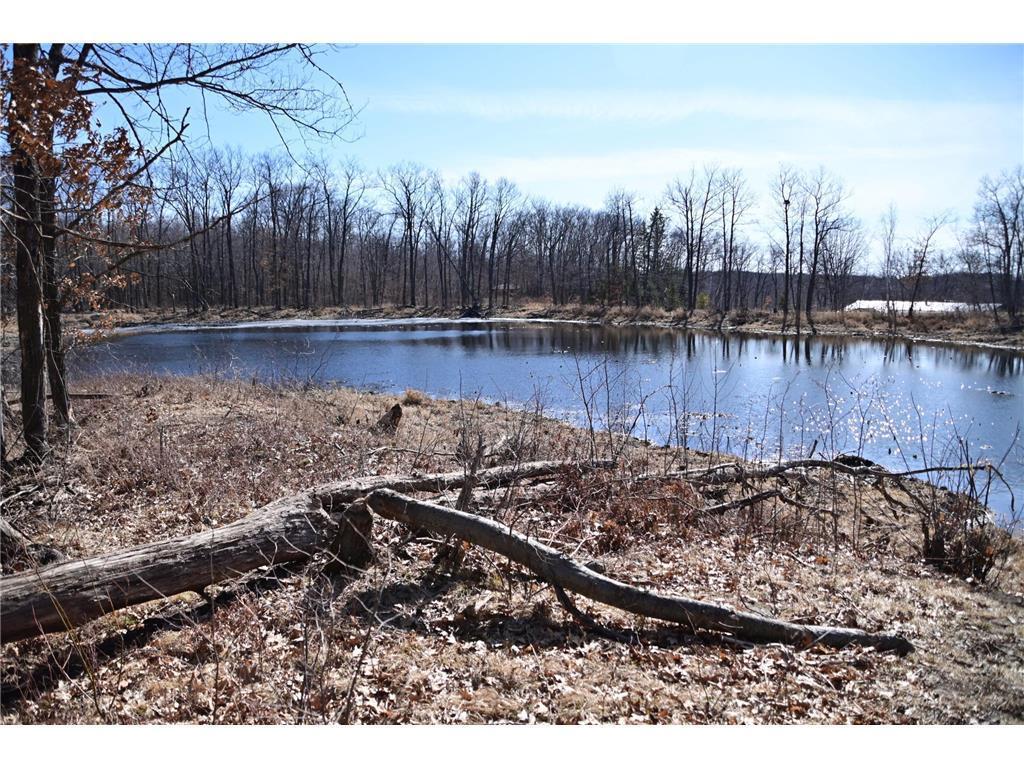 27589 Norway Trl, Randall, MN 56475
