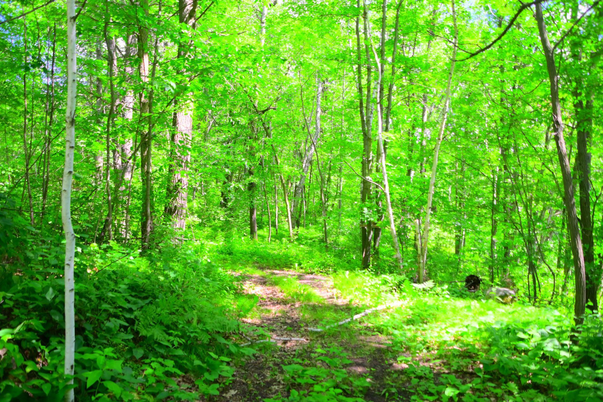 27589 Norway Trl, Randall, MN 56475