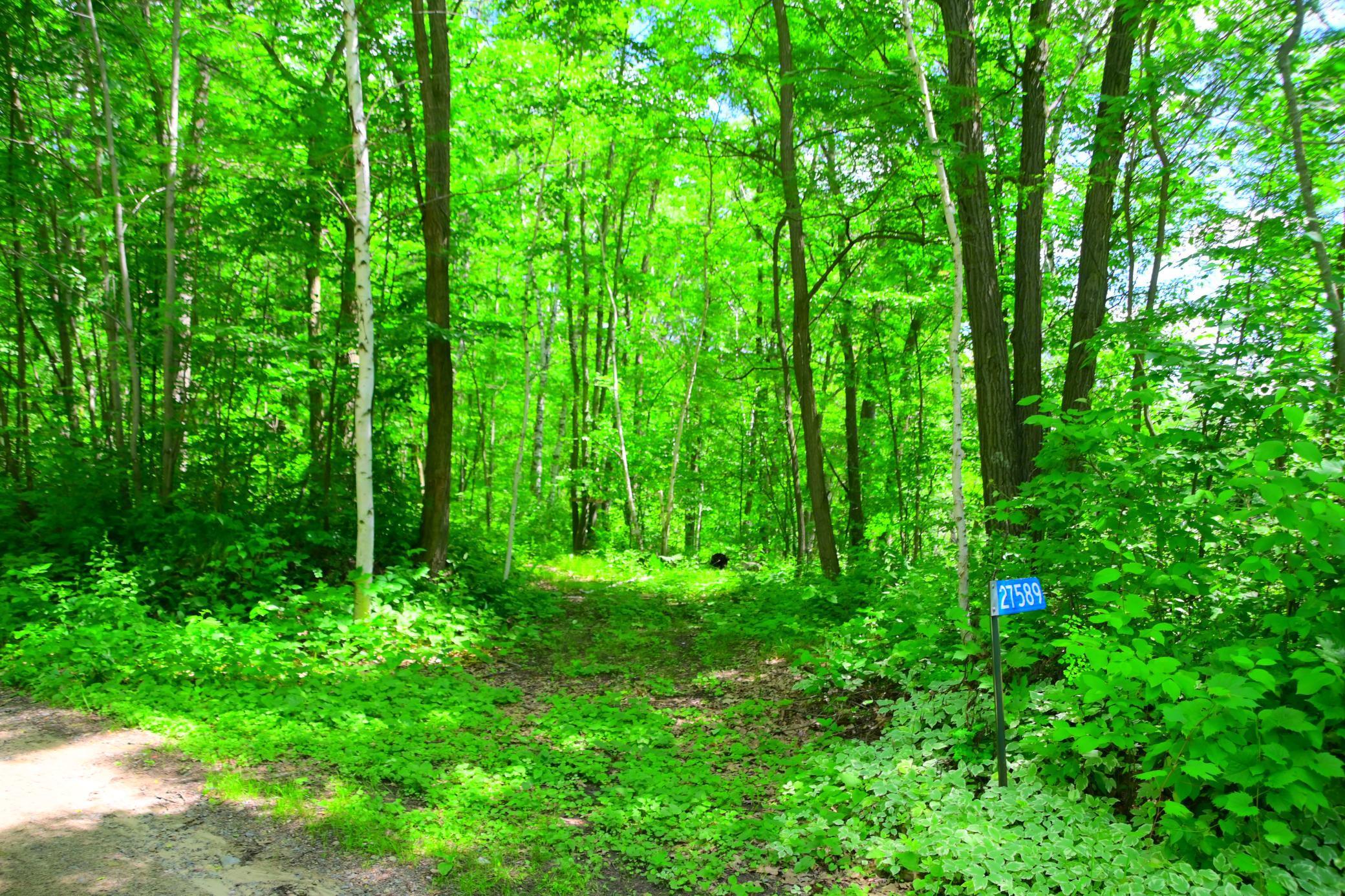 27589 Norway Trl, Randall, MN 56475