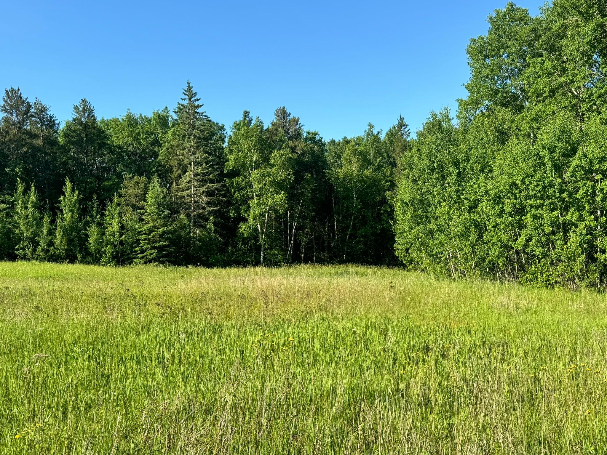 5159 Rocky Ridge Rd NW, Hackensack, MN 56452