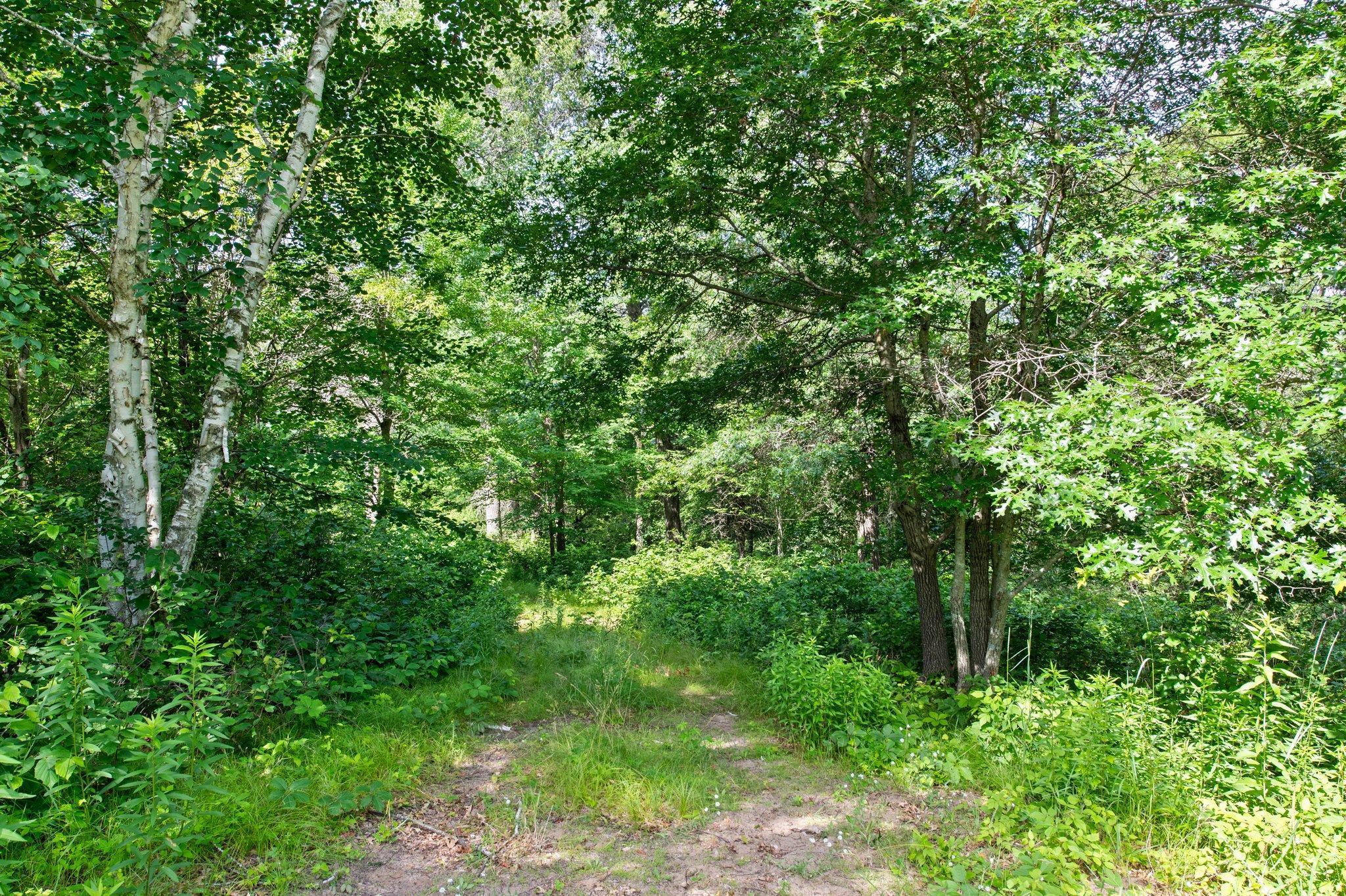 21923 Quincy St NE, East Bethel, MN 55011