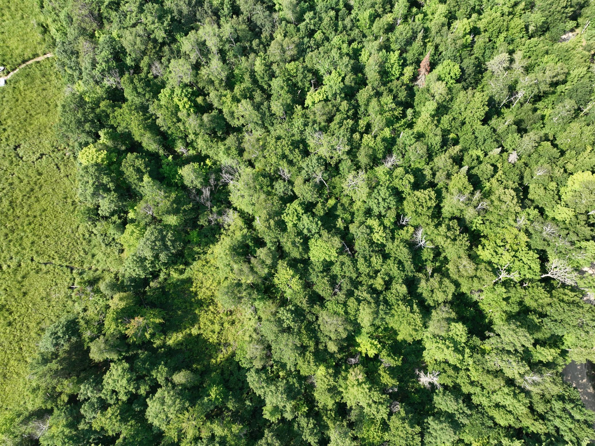 TBD Hillerman Rd NW, Hackensack, MN 56452