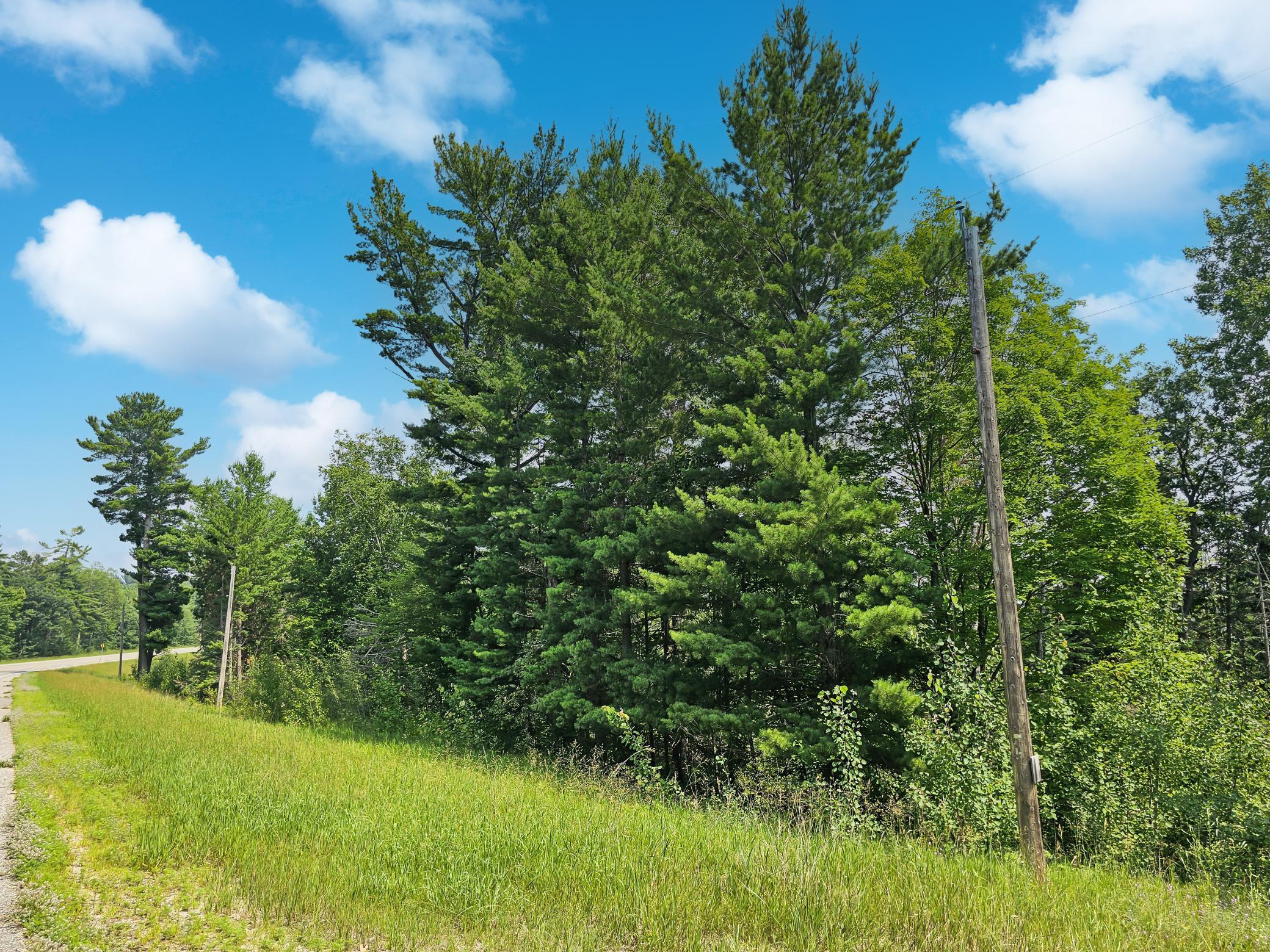 tbd Lower Ten Mile Lake Rd Nw, Hackensack, MN 56452