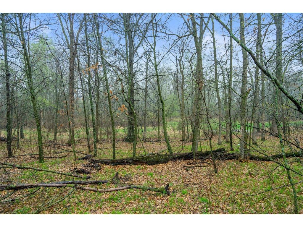 L3 B5 121st St SE, Big Lake, MN 55309