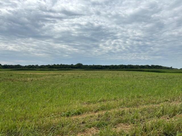XXXX County Rd 30 Sw Tract A, Montrose, MN 55363