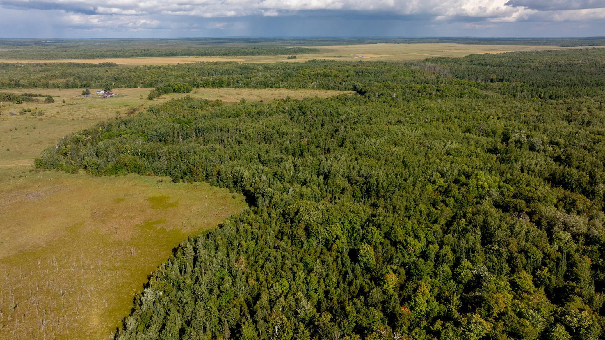 TBD Boy Lake Dr NE, Remer, MN 56672