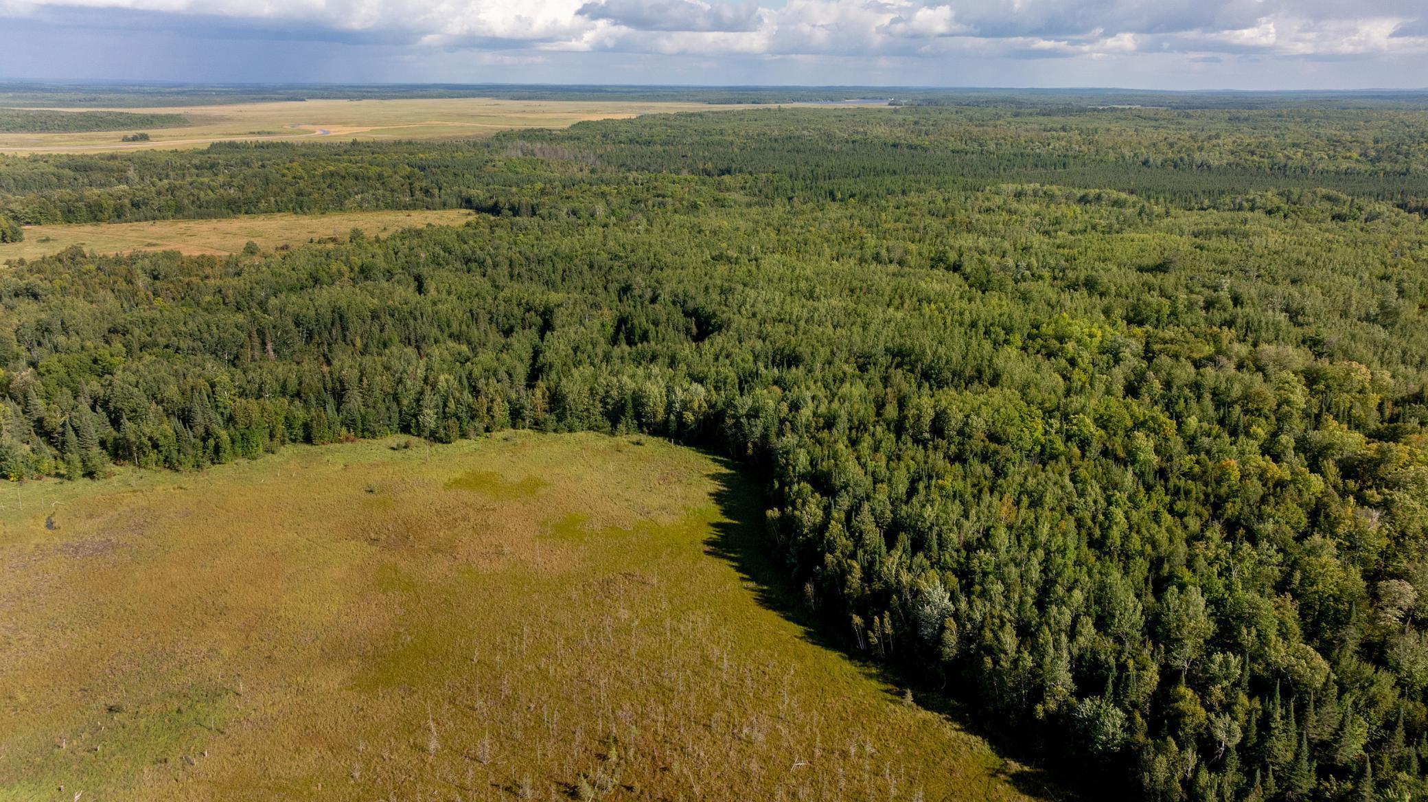 TBD Boy Lake Dr NE, Remer, MN 56672