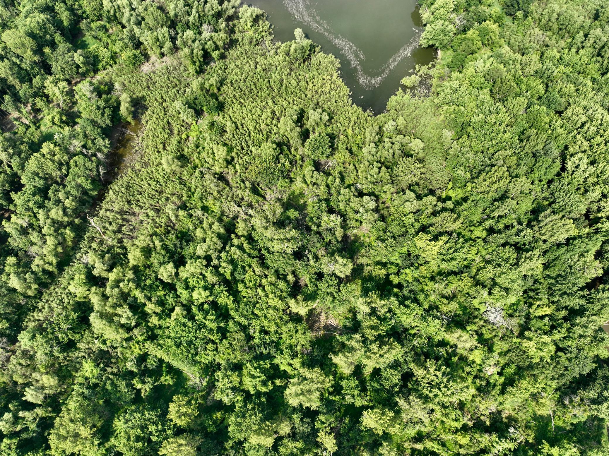 30236 Pumpkin Hill Rd, Le Sueur, MN 56058