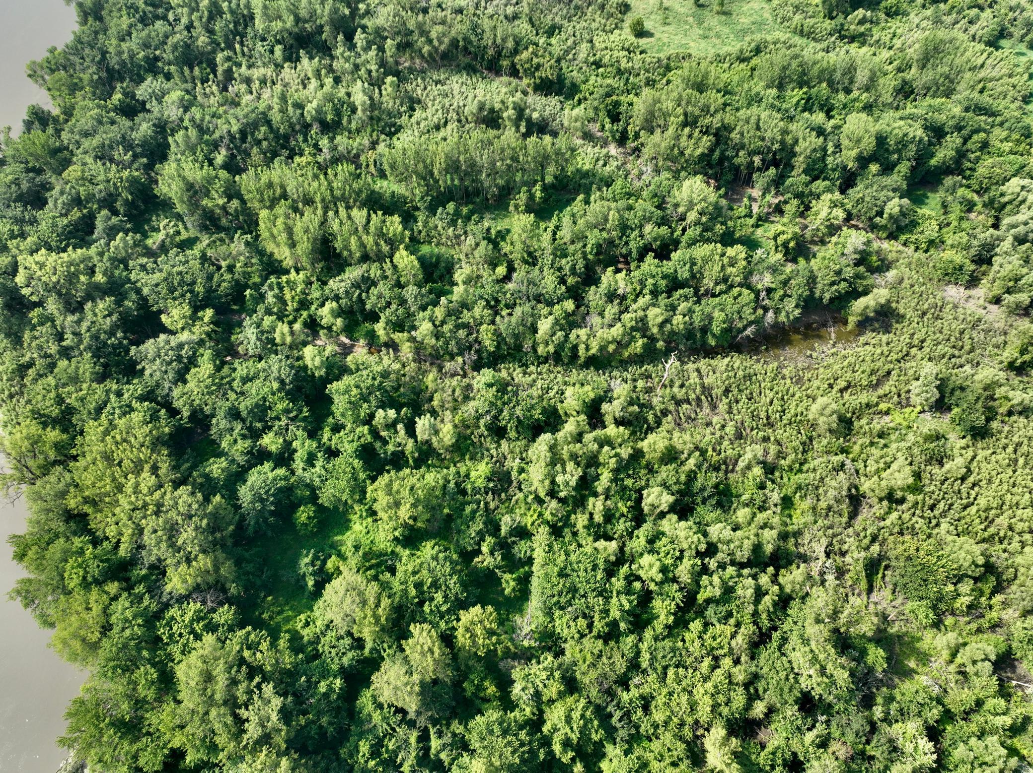 30236 Pumpkin Hill Rd, Le Sueur, MN 56058